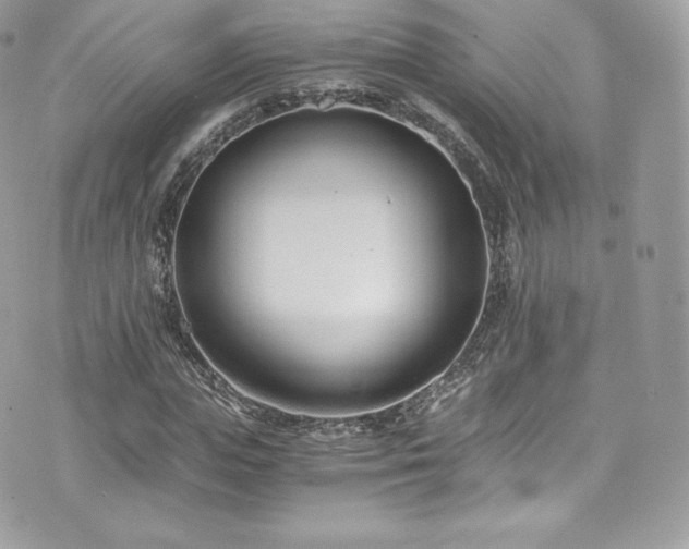 X0000073900823200608111128