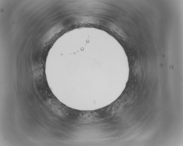 X0000073900824200608111128