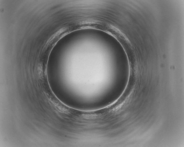 X0000073900825200608111128