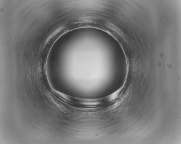 X0000073900826200608111128