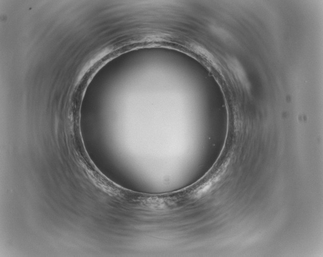 X0000073900827200608111128