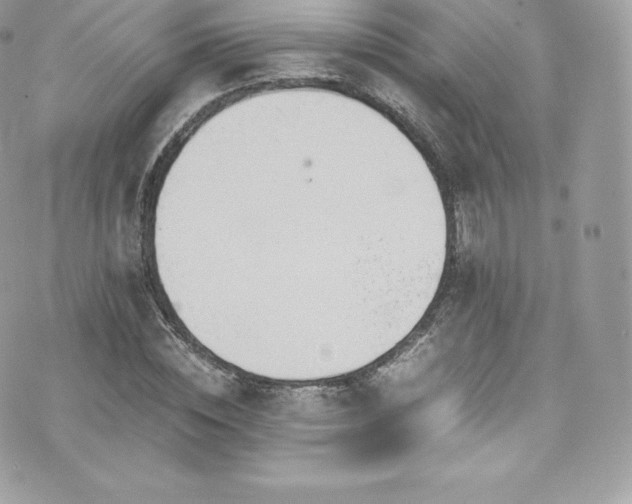 X0000073900828200608111128