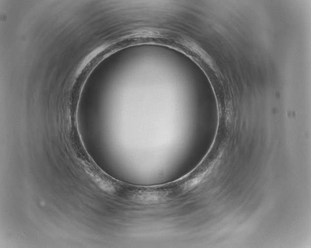 X0000073900829200608111128