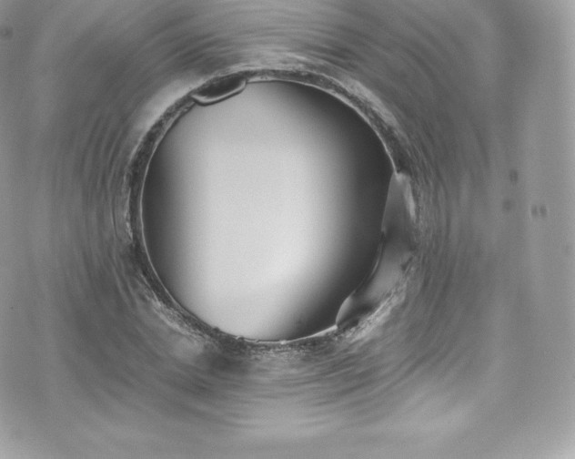 X0000073900830200608111128