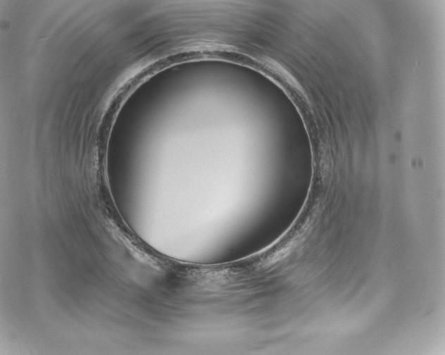 X0000073900831200608111128