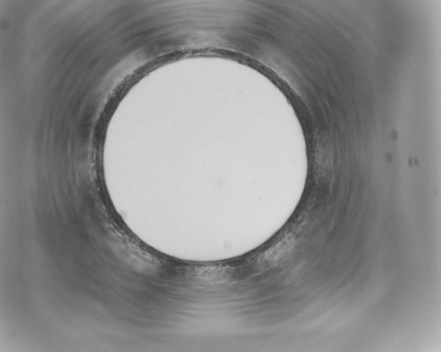 X0000073900832200608111128