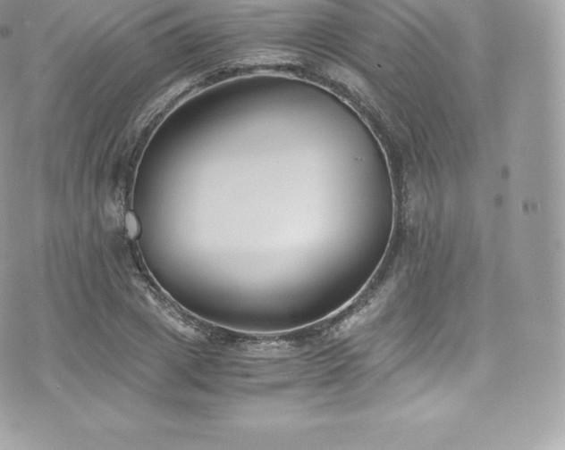 X0000073900833200608111128