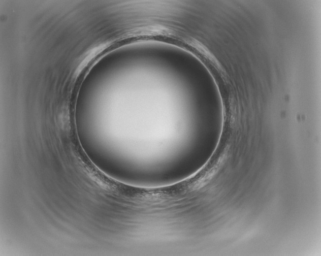 X0000073900834200608111128