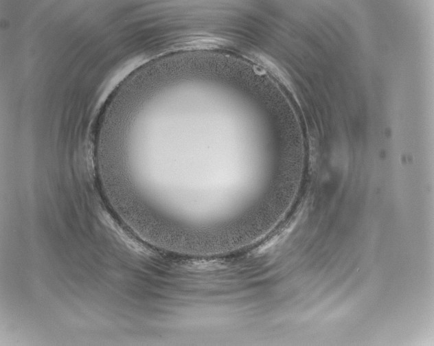 X0000073900835200608111128