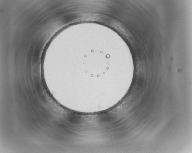 X0000073900836200608111128