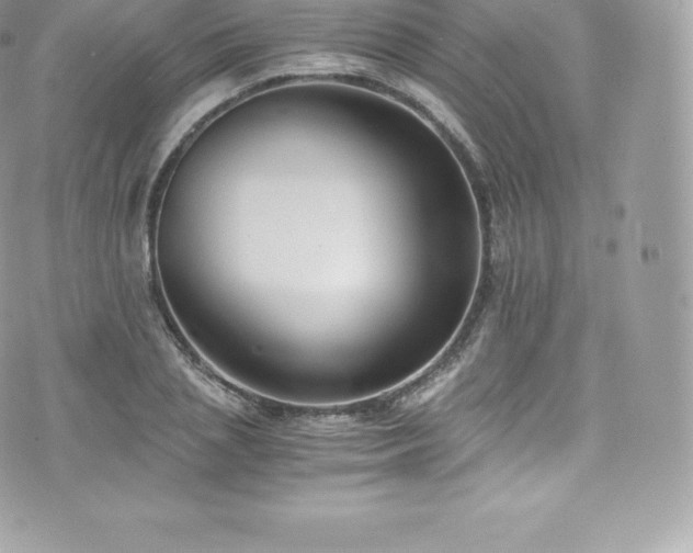 X0000073900837200608111128