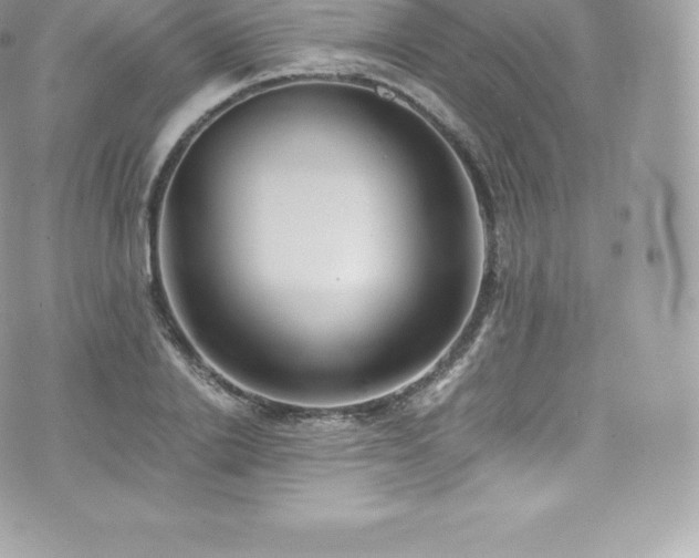 X0000073900838200608111128