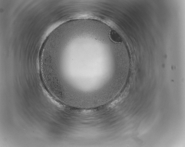 X0000073900839200608111128