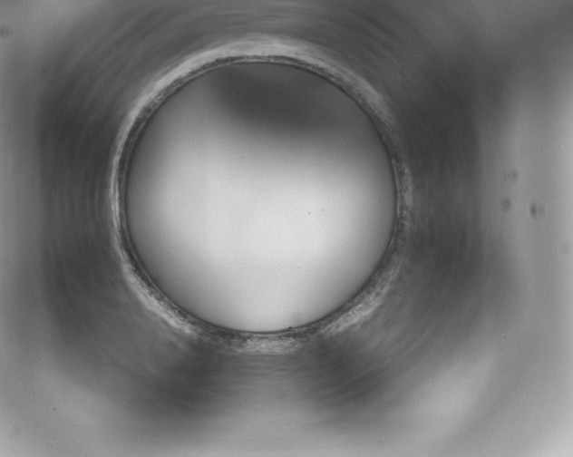 X0000073900840200608111128