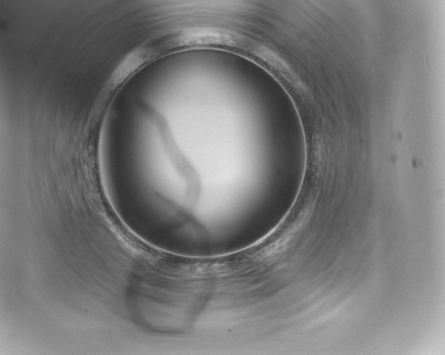 X0000073900841200608111128