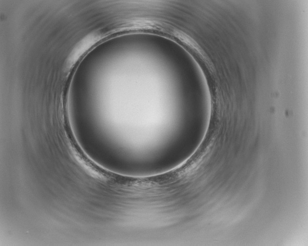 X0000073900842200608111128