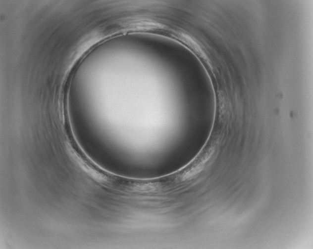 X0000073900843200608111128