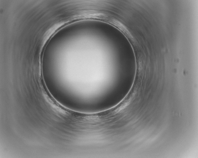 X0000073900844200608111128