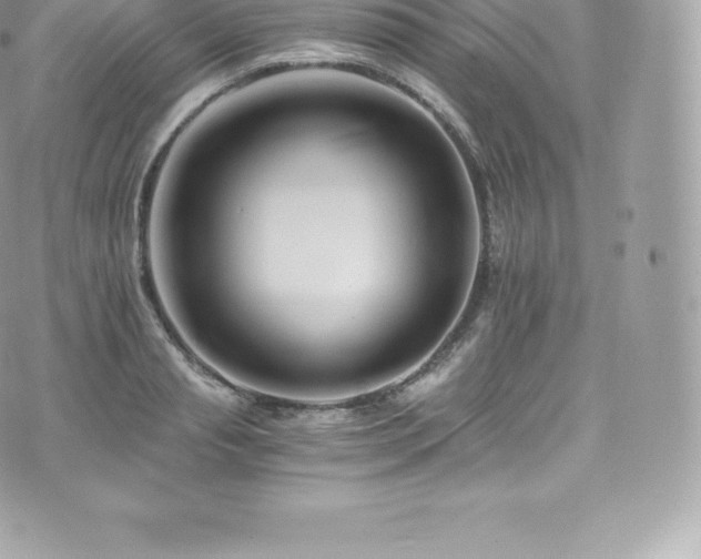 X0000073900845200608111128