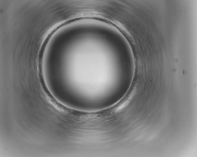 X0000073900846200608111128