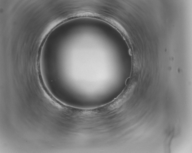 X0000073900847200608111128