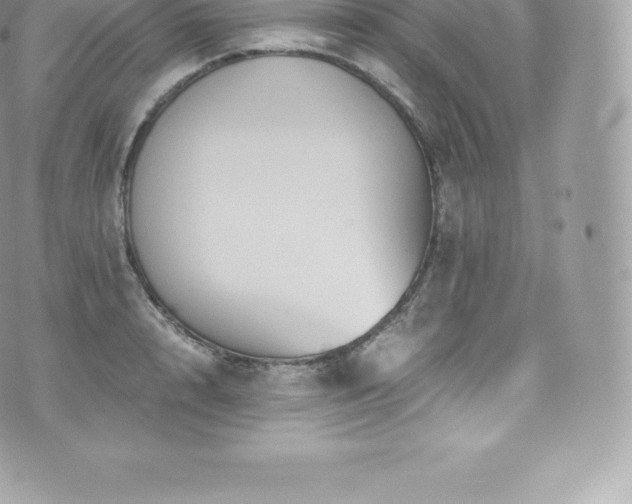 X0000073900848200608111128