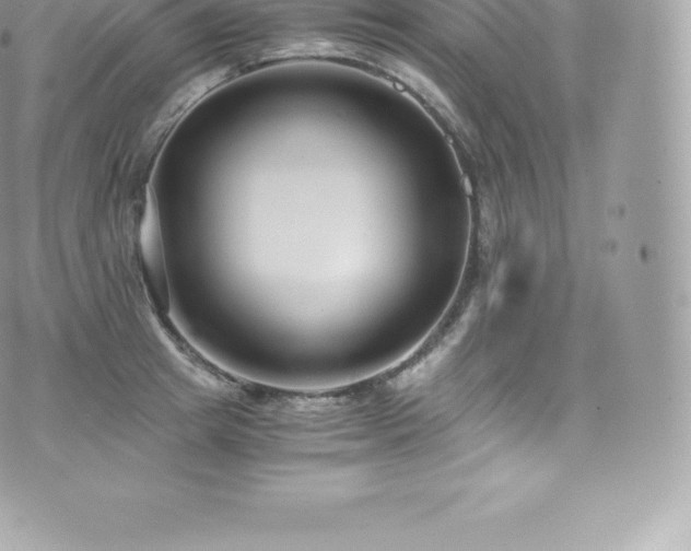 X0000073900849200608111128