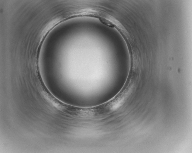 X0000073900850200608111128