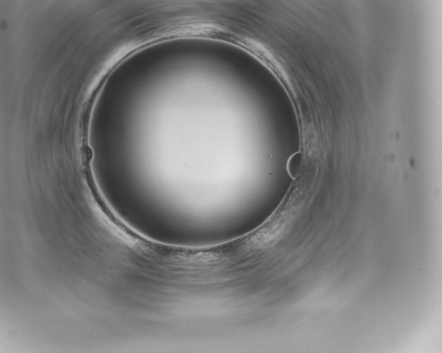 X0000073900851200608111128