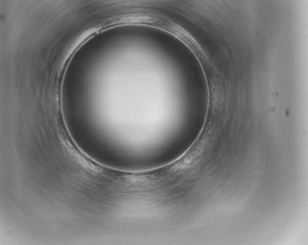 X0000073900852200608111128