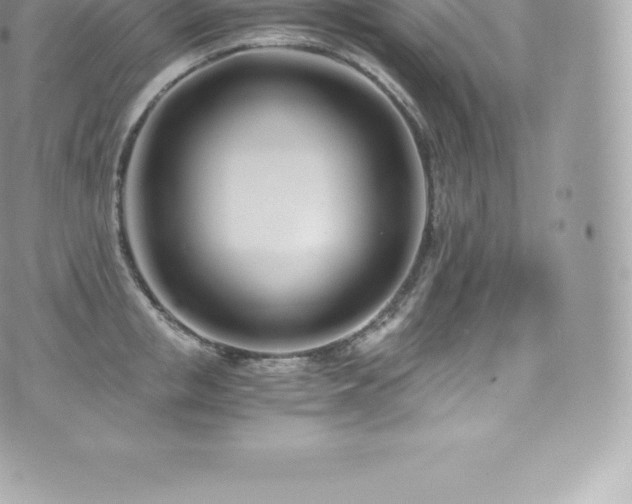 X0000073900853200608111128