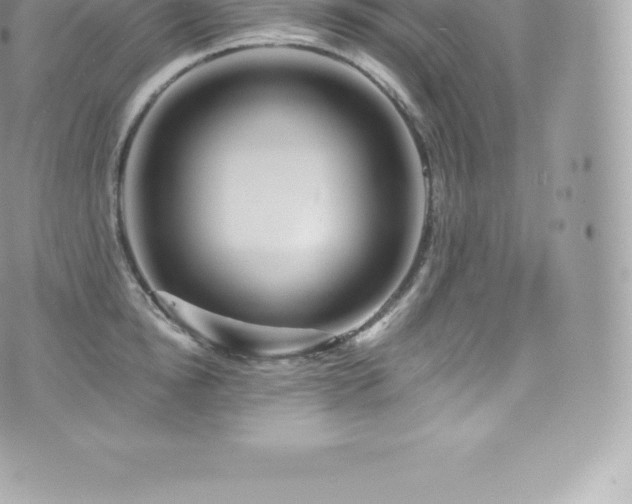 X0000073900854200608111128