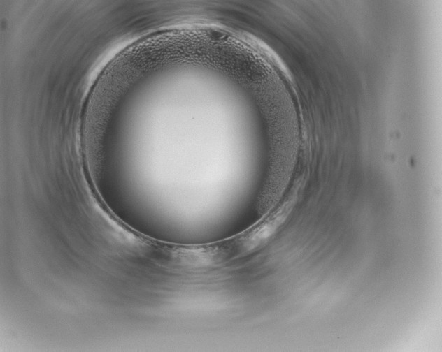 X0000073900855200608111128