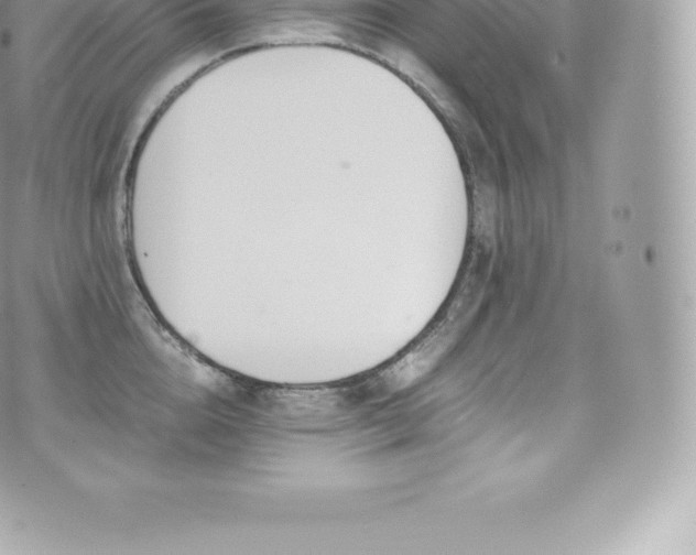 X0000073900856200608111128