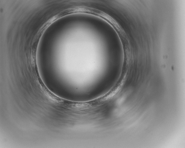 X0000073900857200608111128