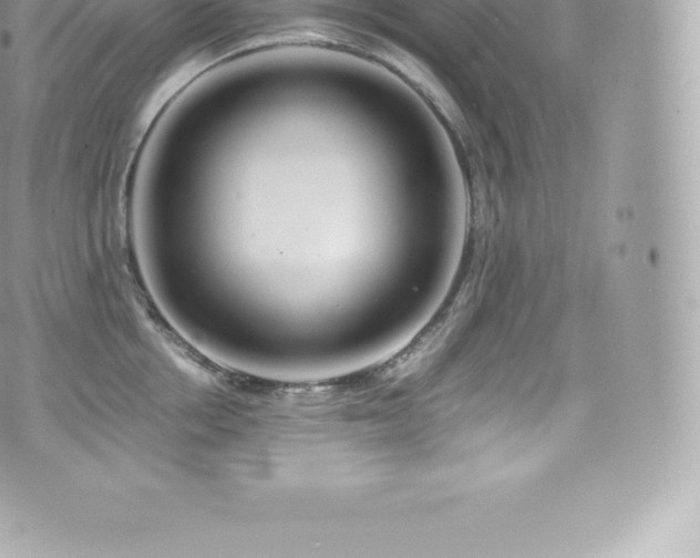 X0000073900858200608111128