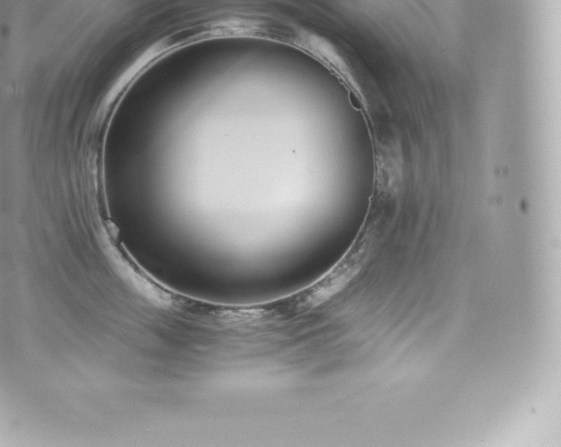 X0000073900859200608111128