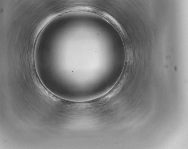 X0000073900860200608111128