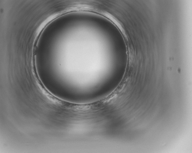 X0000073900861200608111128