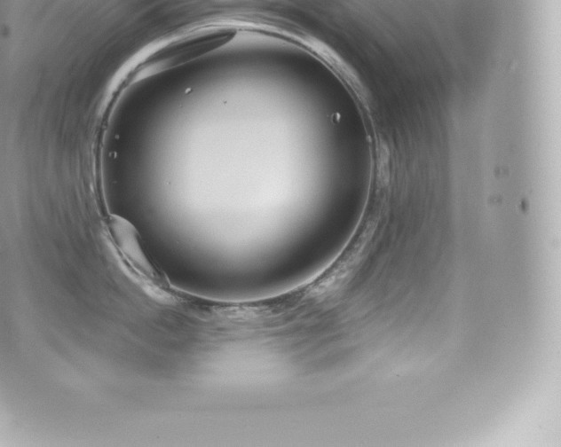 X0000073900862200608111128