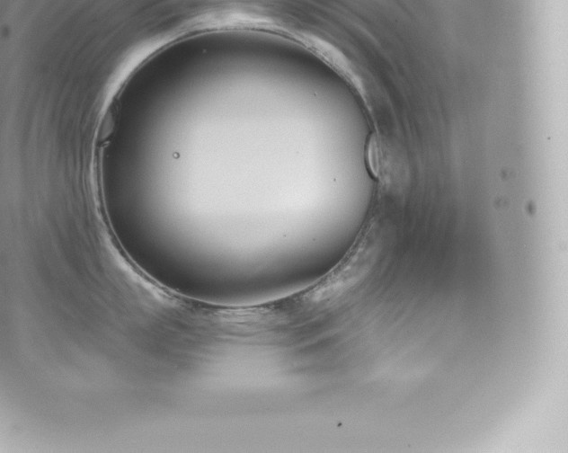 X0000073900863200608111128