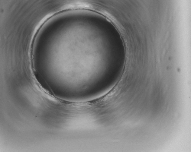 X0000073900864200608111128