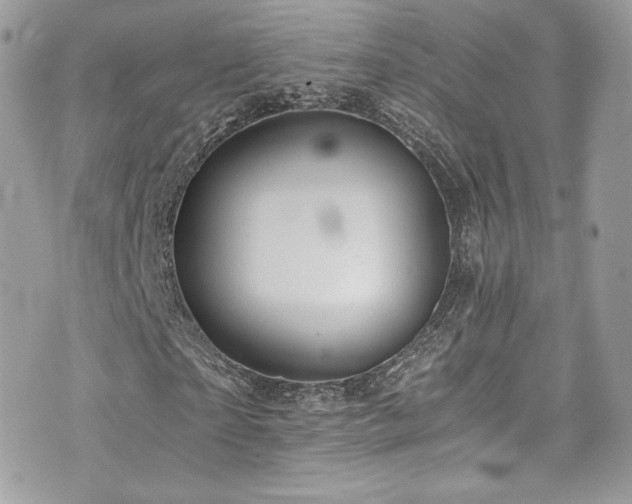 X0000073900865200608111128