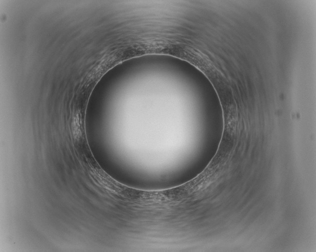 X0000073900866200608111128