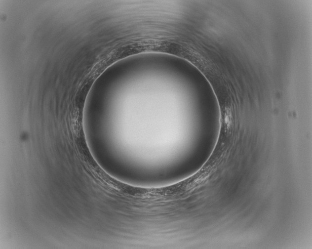 X0000073900867200608111128