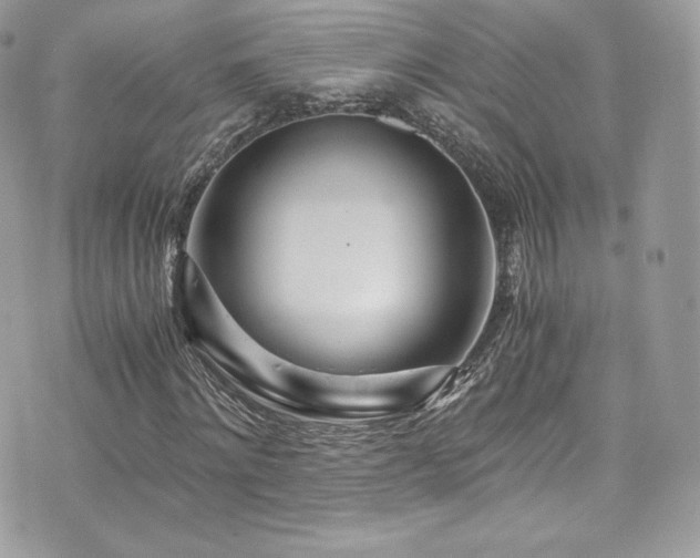 X0000073900868200608111128