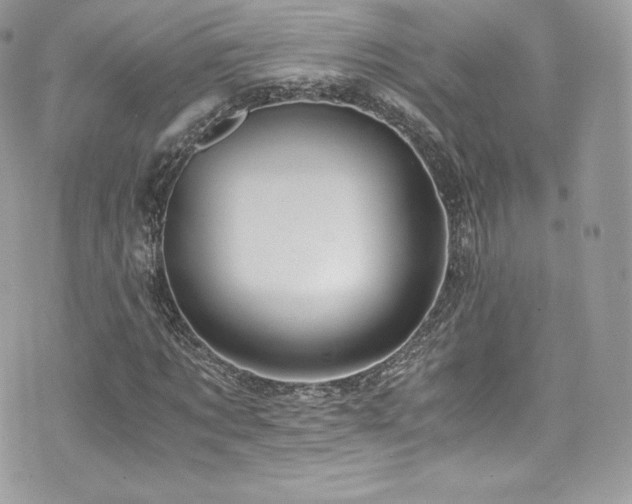 X0000073900869200608111128