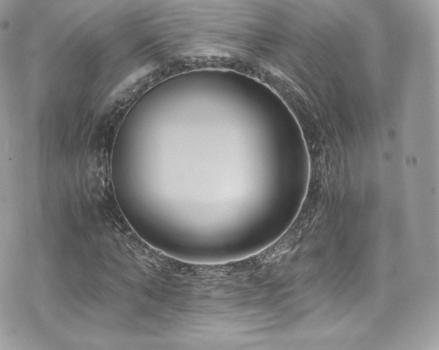 X0000073900870200608111127