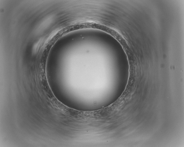 X0000073900871200608111127