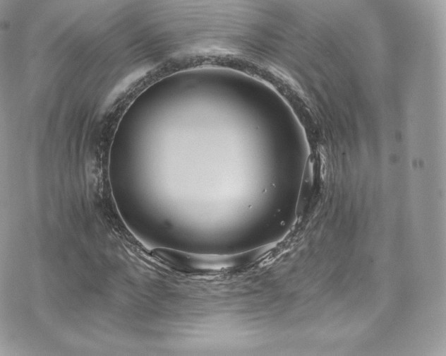 X0000073900872200608111127